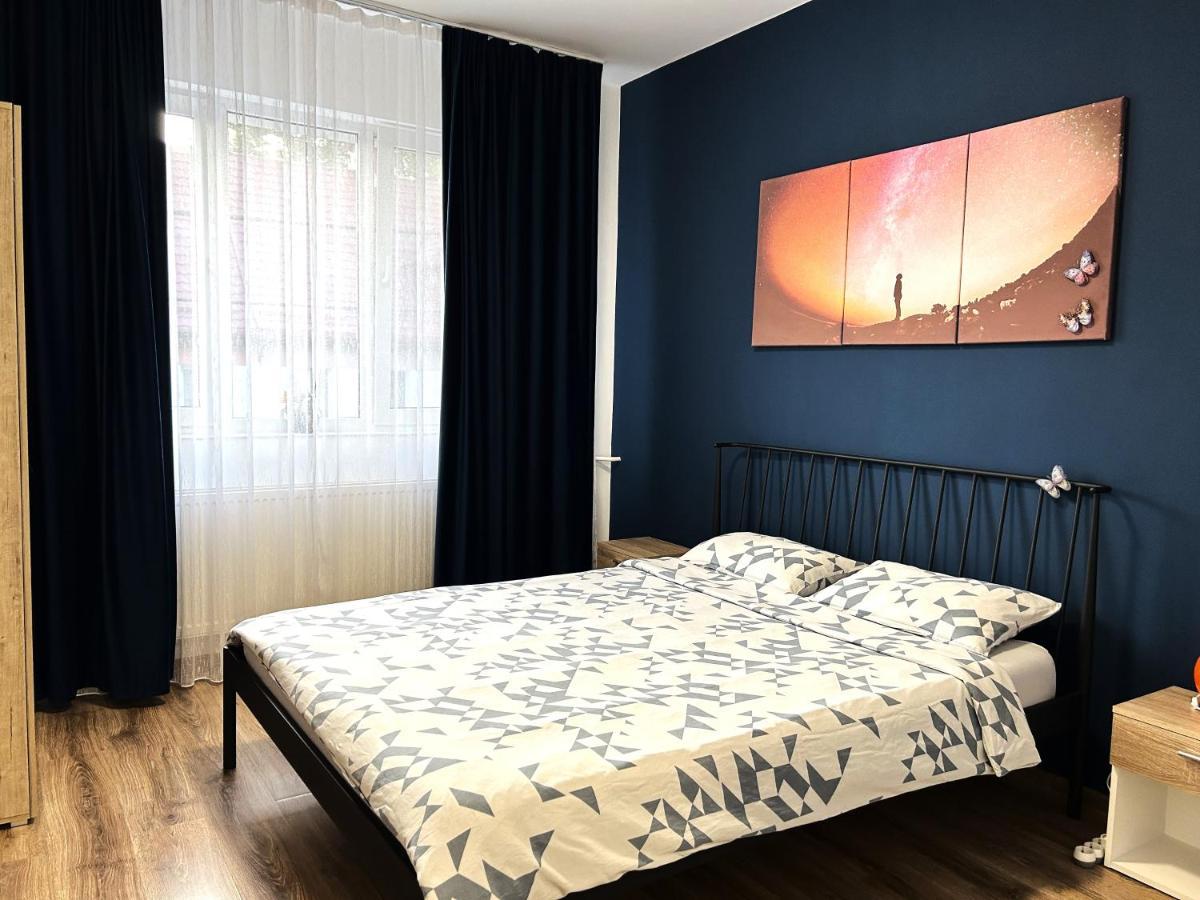 Marius Studio Braşov Exteriör bild